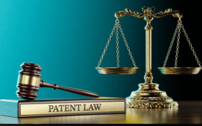 Patent Litigation Funding: Pros and Cons for Plaintiffs