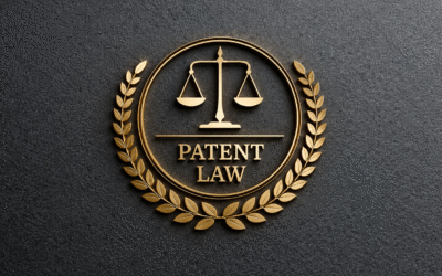 Public Disclosure and Patent Rights: The One-Year Grace Period